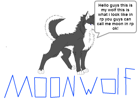My Wolf model!