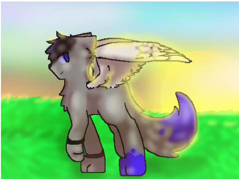 Winged Cat CCE