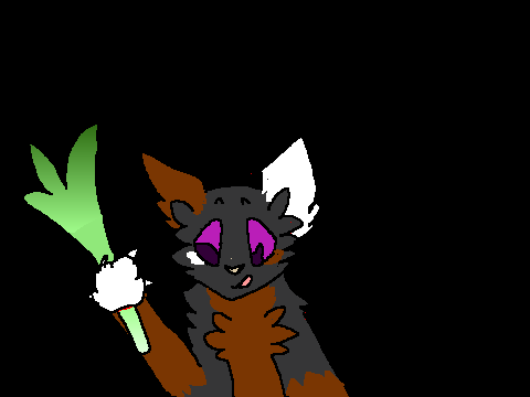 LEEKSPIN 
