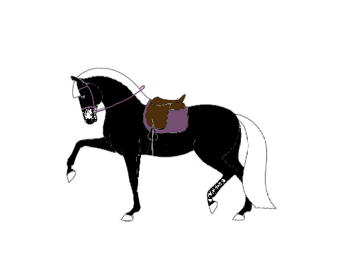 My horse!