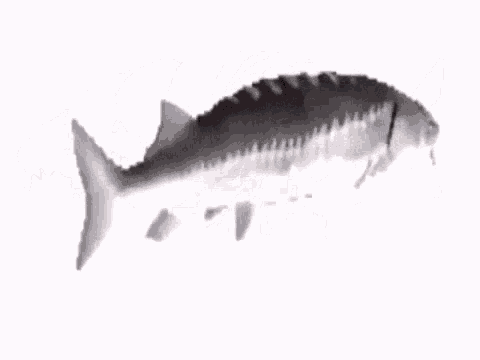 Killer Fish