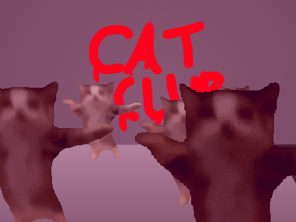 Cat Club