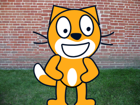 sircatch cat