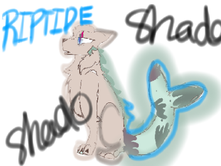  ☈ I P T I D E 