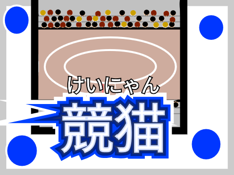学校用プロジェクト3　競猫(けいにゃん)