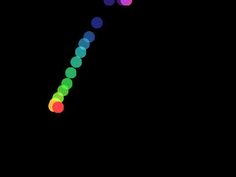 Trail