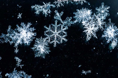 A Snowy Day (Animation)