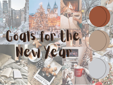 ❄┊ new year goals