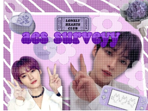 ♡┊²⁰²³︵ aes ✩ survey answers