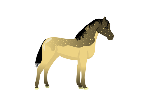  •❅❆ ~ 2023 Secret Equine! ~ ❆❅• remix