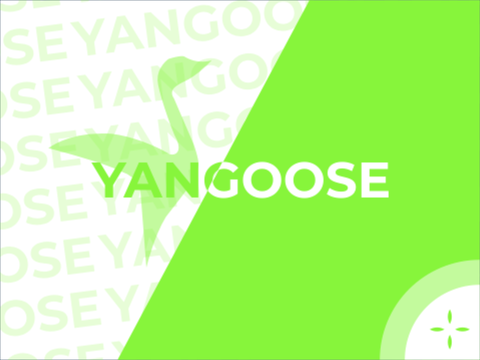 Intro for YanGoose Part 2