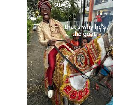 suwey
