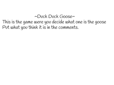 Duck Duck Goose