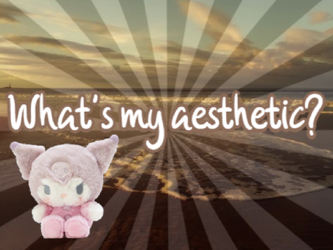 ωнαт'ѕ му αєѕтнєтι¢? qυιz
