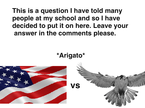Birds or America???? Who wins