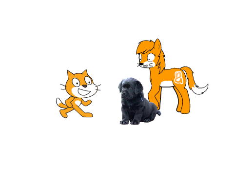 Scratchcat V.S. a puppy