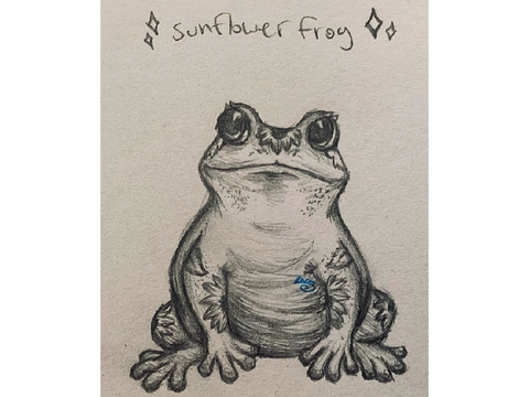 -SUNFLOWER FROG-
