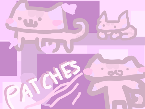 here is patches!