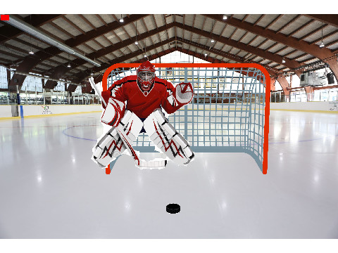 HOCKEY GOAL SHOOTOUT :D :)