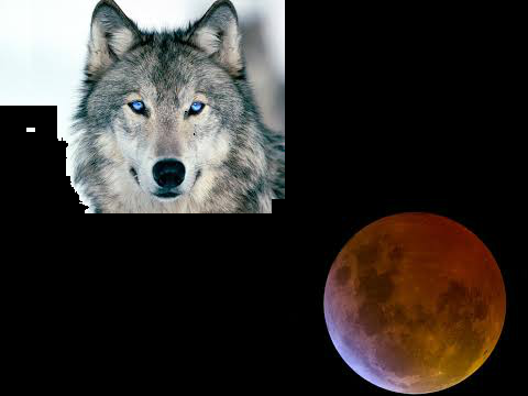 Wolves of The Tribe of the Eclipsed Moon W.I.P