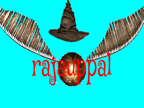 rajauppal's logo