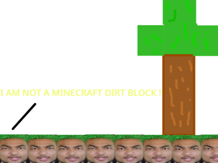 The Life Of A Minecraft Be like