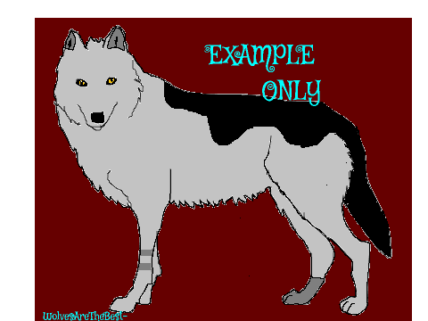 Wolf Art - SAMPLE ONLY -