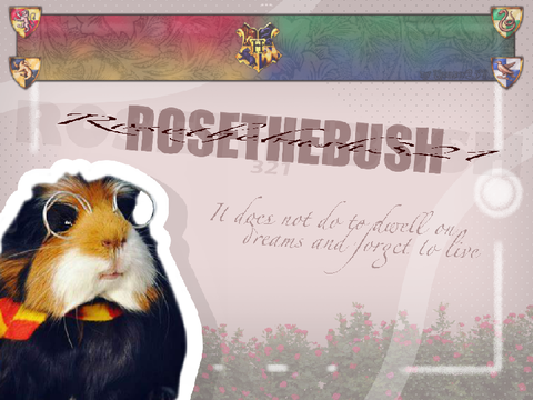 My new banner!