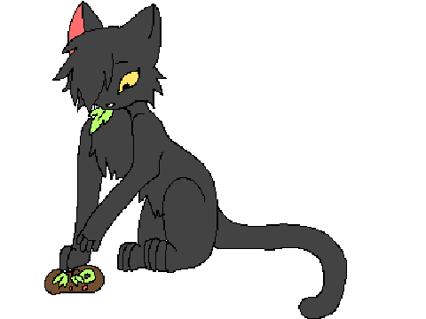 Medicine Cat CC remix
