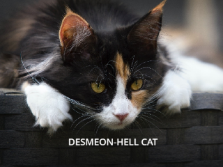 DESMEON -HELL CAT