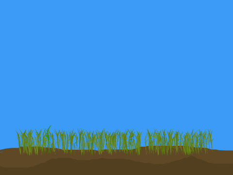 Grass growing simulator 2d