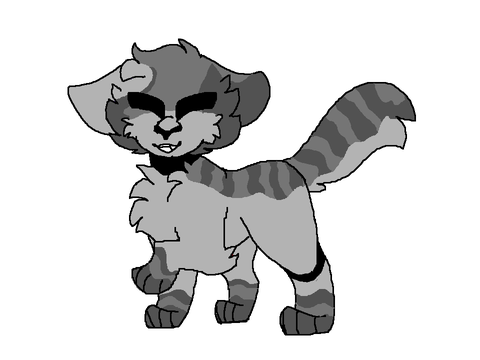 RacconKit