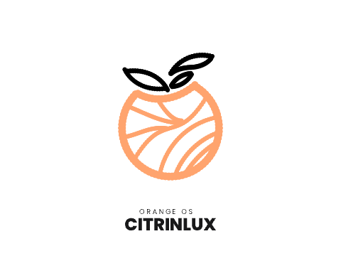 Intro + Lock screen V.0.29b | Citrinlux