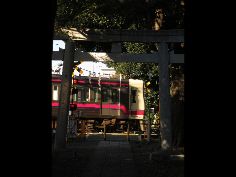 Untitled-1
