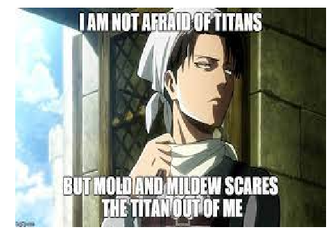 AOT Memes I supoose