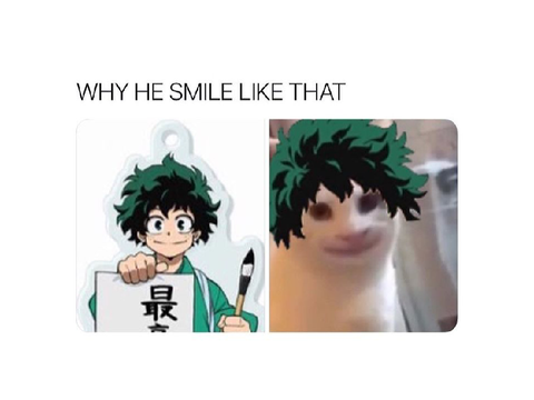 Part10- My Hero Academia memes!  