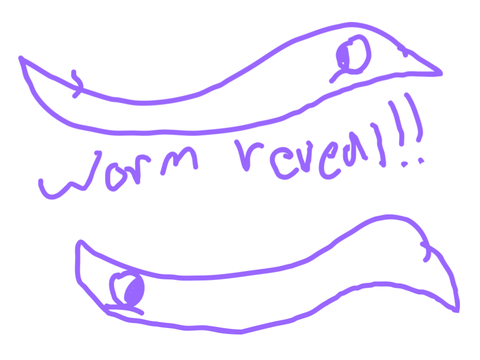 WORM REVEAL 