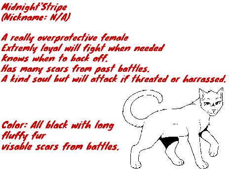 My Main Warrior Cats