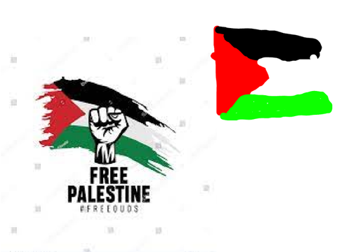 I support Palestine 