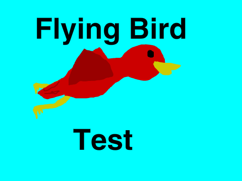 Flying Bird Test