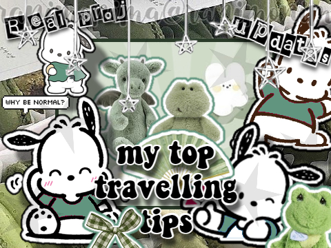 ˢᵘˢʰⁱ'ˢ ᵗʳᵃᵛᵉˡˡⁱⁿᵍ ᵗⁱᵖˢ [real proj ✈]