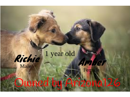 My puppies!