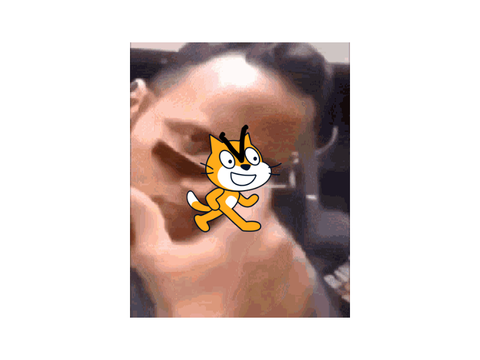 When scratch cat seen the rock