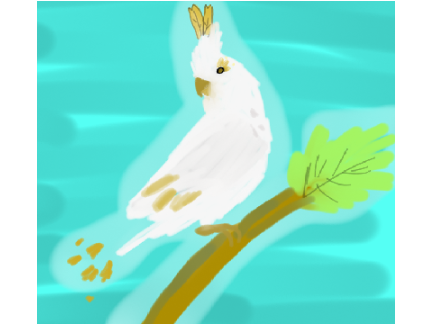 My entry