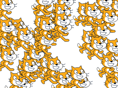 One Cat For Every Follower