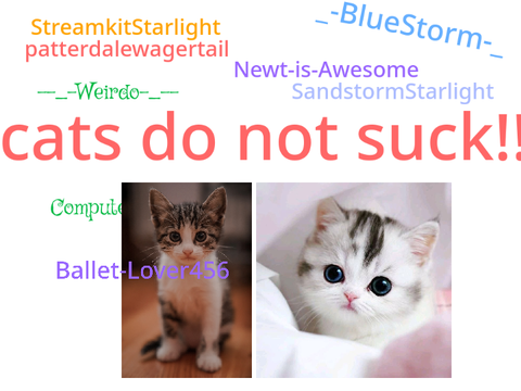 Cats do not suck!!! remix remix remix