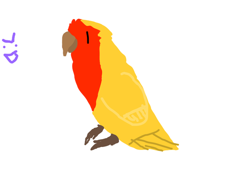 Pic of my Bird Birddy