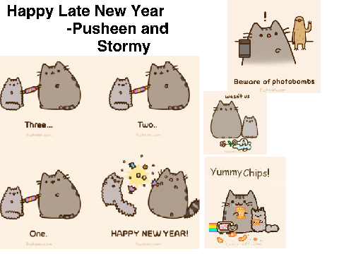 pusheen and stormy