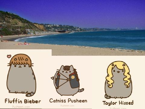 Pusheen conversation! 