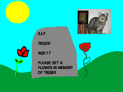 PLEASE_SET_A_FLOWER[1]